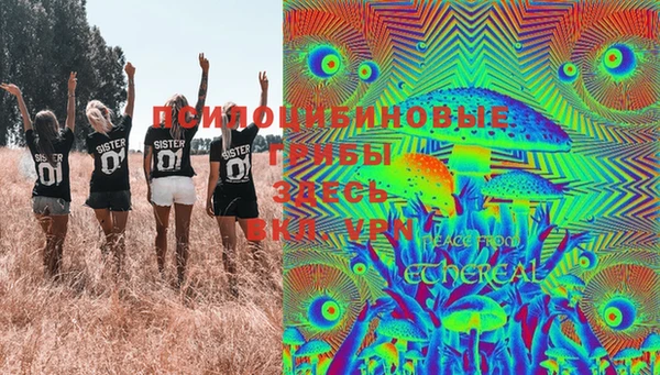 первитин Кукмор