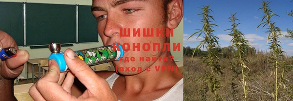 первитин Кукмор